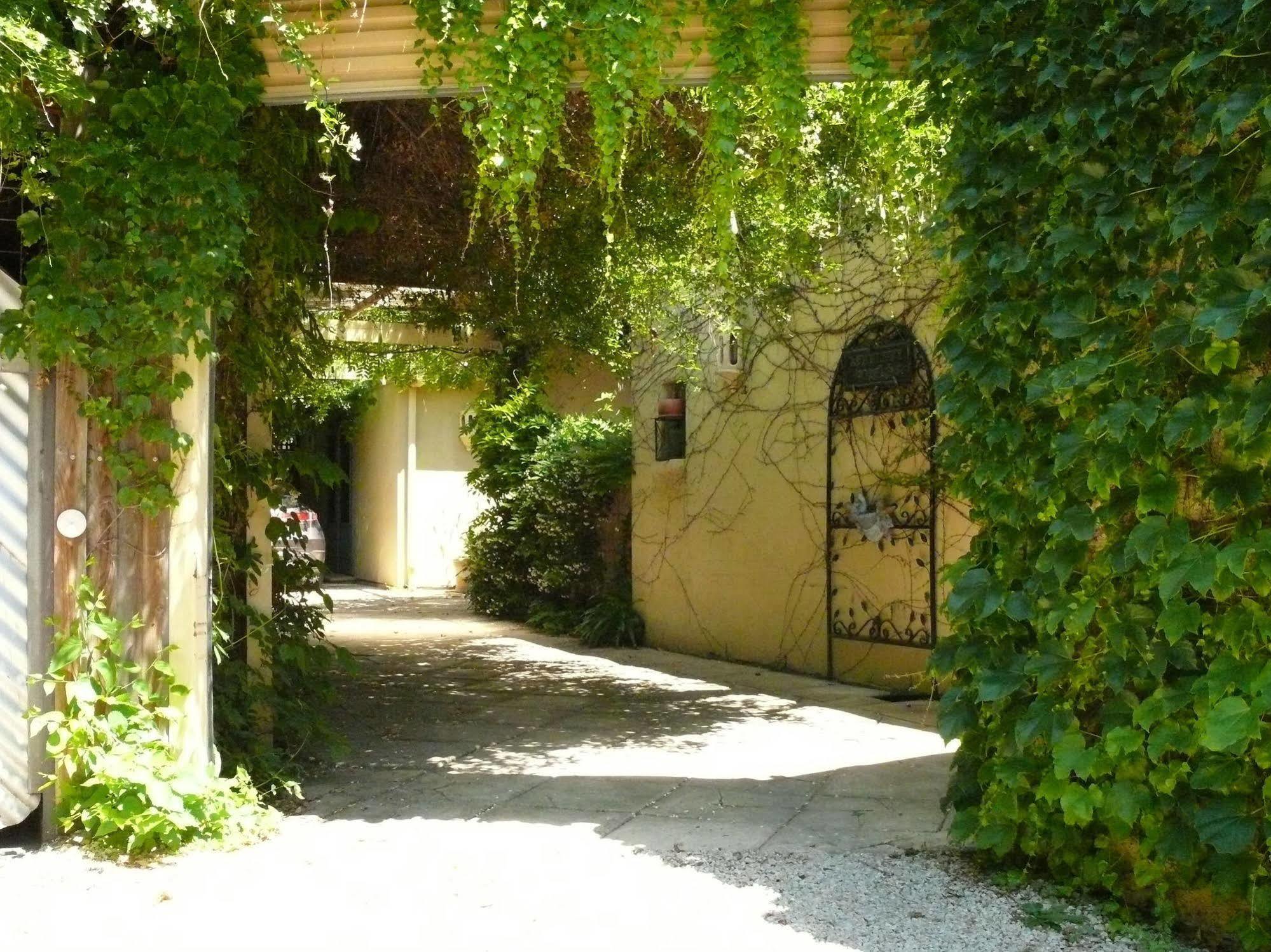 Athelney Cottage Bed And Breakfast Αδελαΐδα Εξωτερικό φωτογραφία